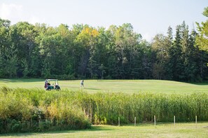 Un terrain de golf avec un chariot et une personne au loin, entouré d’une forêt dense et d’un champ d’herbes hautes au premier plan.