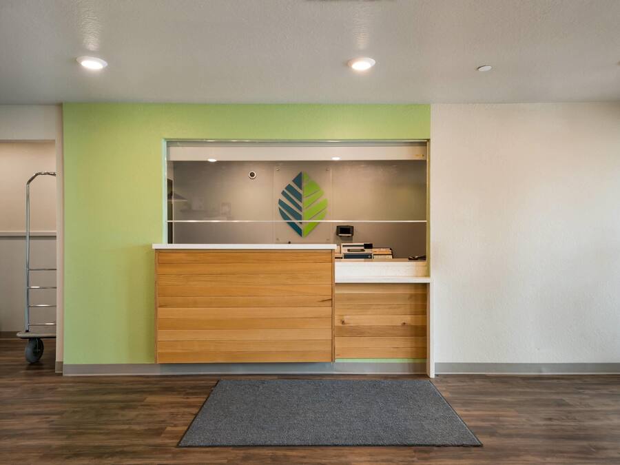 A modern office space with a wooden desk, a green accent wall, and a leaf-shaped decoration.
