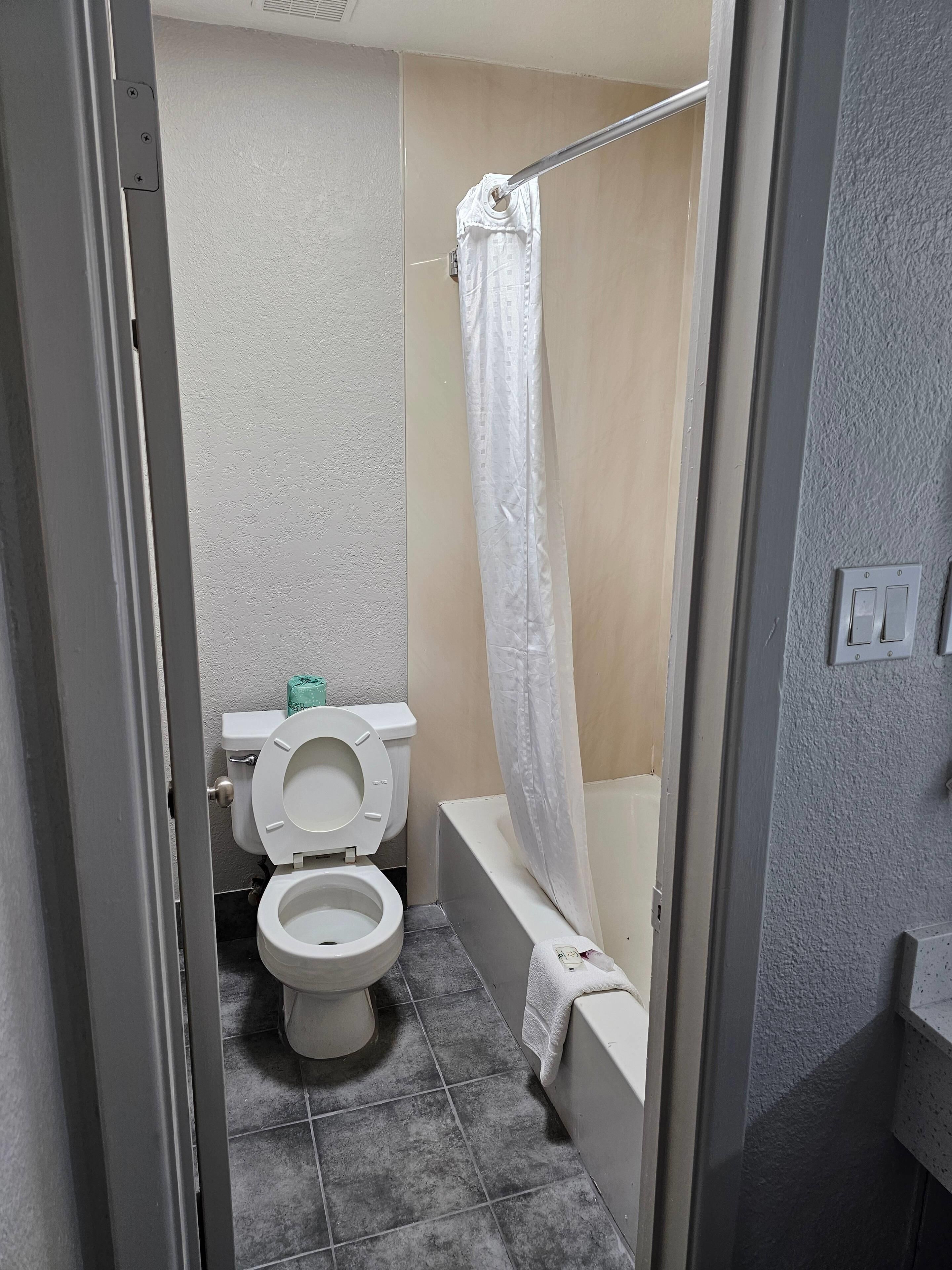 A bathroom with a toilet, a bathtub, and a shower curtain.