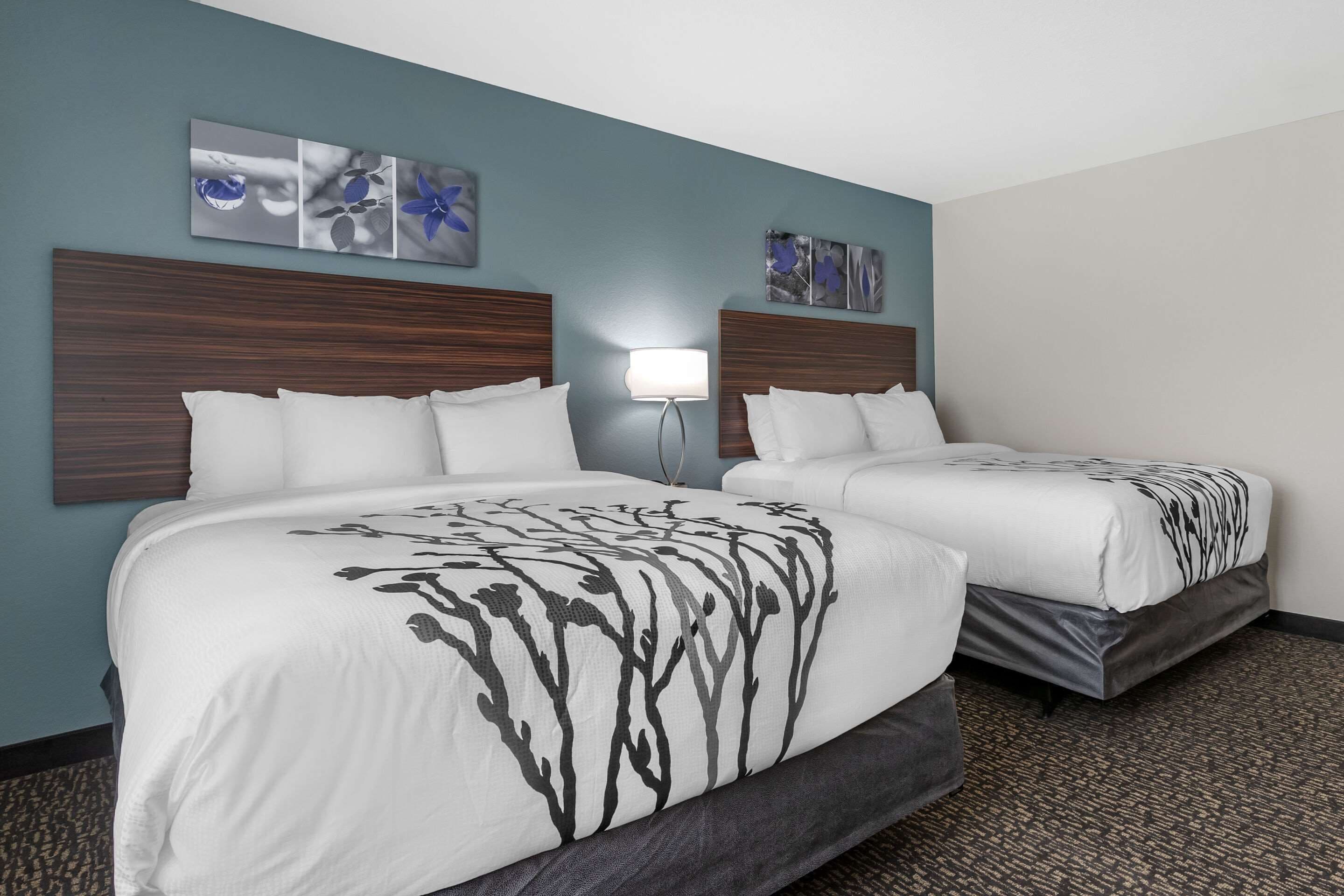 Quarto de hotel com duas camas, uma mesa de cabeceira, uma luminária e obras de arte nas paredes.