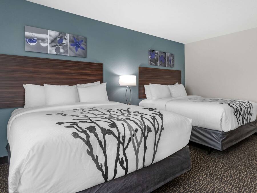 Quarto de hotel com duas camas, uma mesa de cabeceira, uma luminária e obras de arte nas paredes.