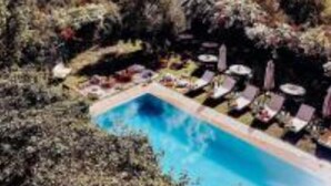 A pool surrounded by lush greenery and hills in the background.