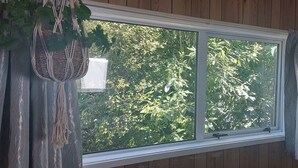 A window with a view of dense foliage outside. -  Captivating rural beauty, serene getaway, nestled midway  Rotorua & Taupo. (Rerewhakaaitu)
