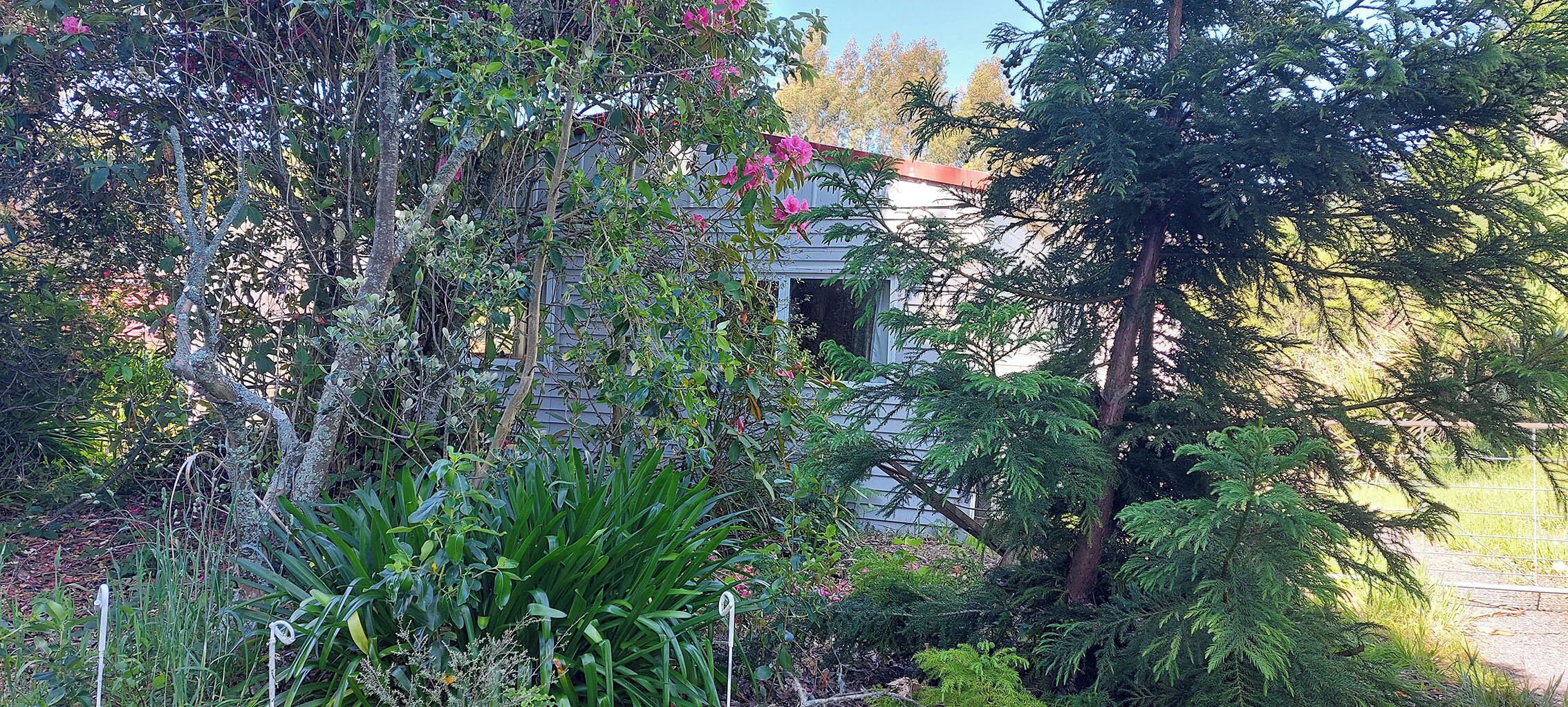 Àrea exterior de l'allotjament