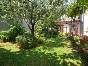 Terrein van de accommodatie