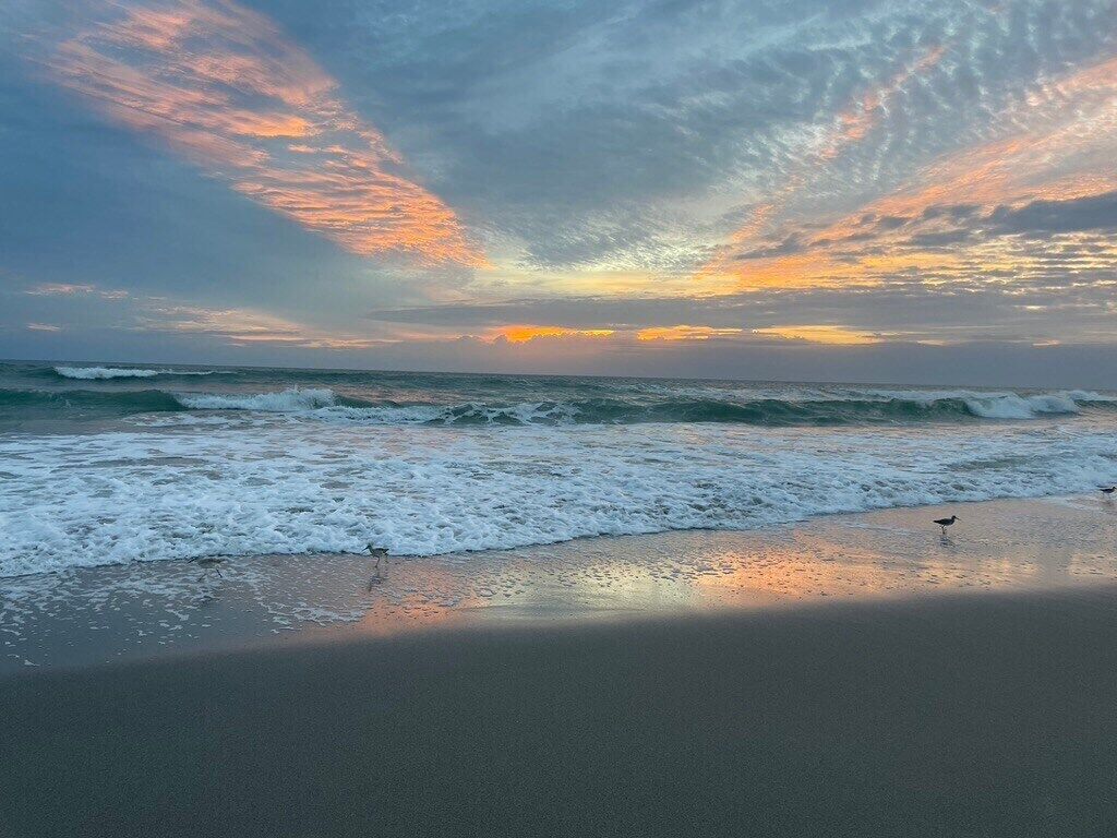 Sun loungers, beach towels