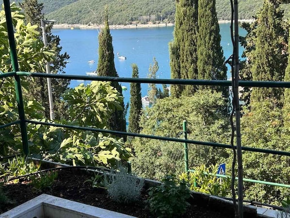 A view of a lake with boats, surrounded by trees and vegetation.