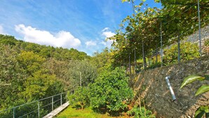 A stone pathway leading through a lush green landscape with a stone wall and metal railing on one side. - Holiday apartment with air conditioning (Rabac)