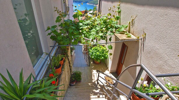 A narrow staircase with potted plants on either side, leading to a balcony overlooking a coastal view.