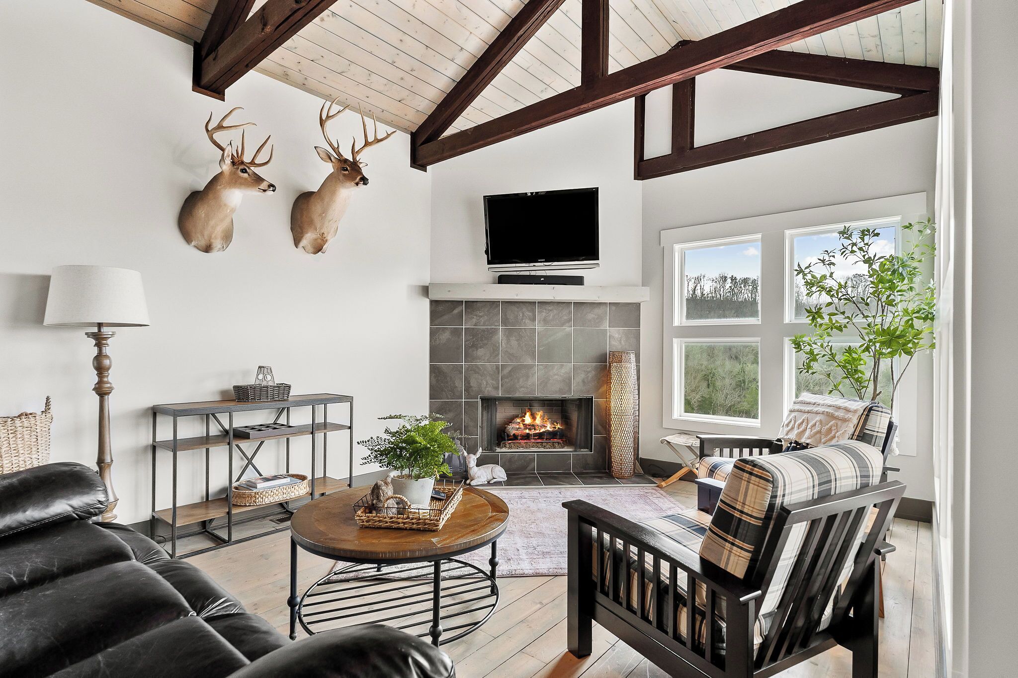 TV, fireplace