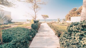 Un sentier en bois menant à une plage, entouré de verdure et d’arbres.