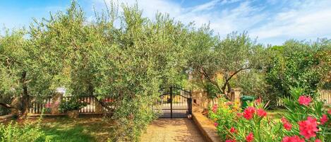 Overnatningsstedets område