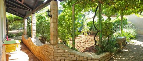 Terraza o patio