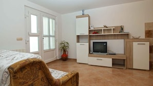A bedroom with a bed, a TV, a small cabinet, a potted plant, and a door with windows.