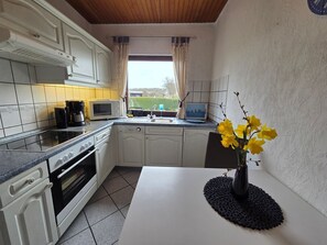 Frigorífico, microondas, horno y placa de cocina