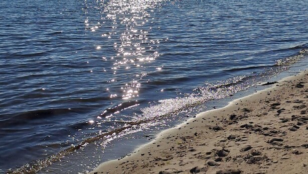 A beach with calm water reflecting sunlight, a clear sky, and a distant shoreline. - Haus Dorfschmiede, Whg. Seestern - Haus Dorfschmiede (Alkersum)