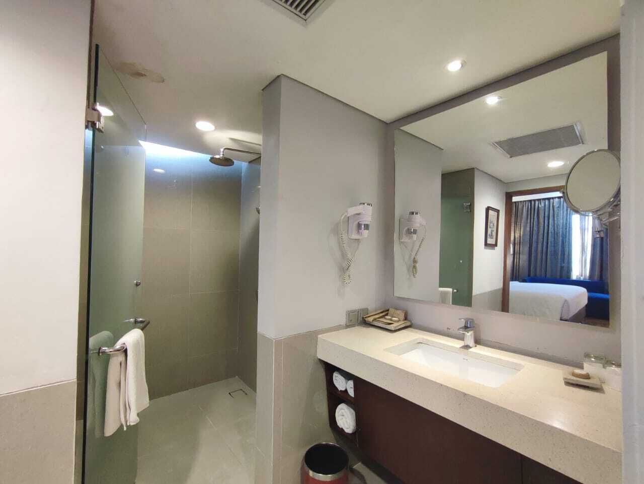 A modern bathroom with a glass shower enclosure, a double sink vanity, and a large mirror reflecting a bedroom.