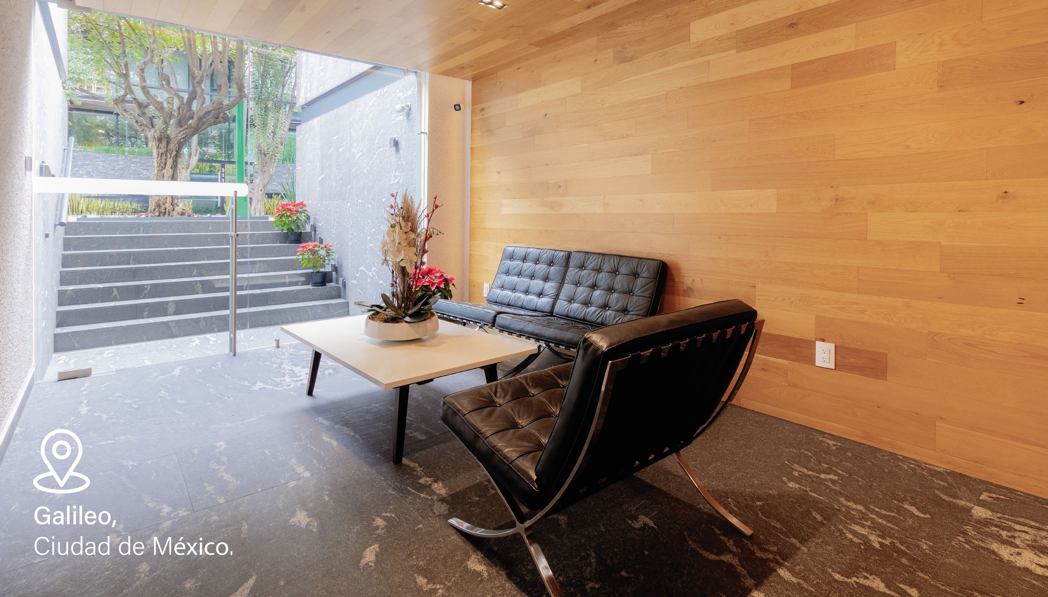 Un interior moderno con una pared de madera, un sofá de cuero negro y un puerta de vidrio que da al exterior.