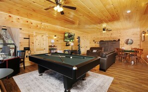 TV, fireplace, video games, DVD player
