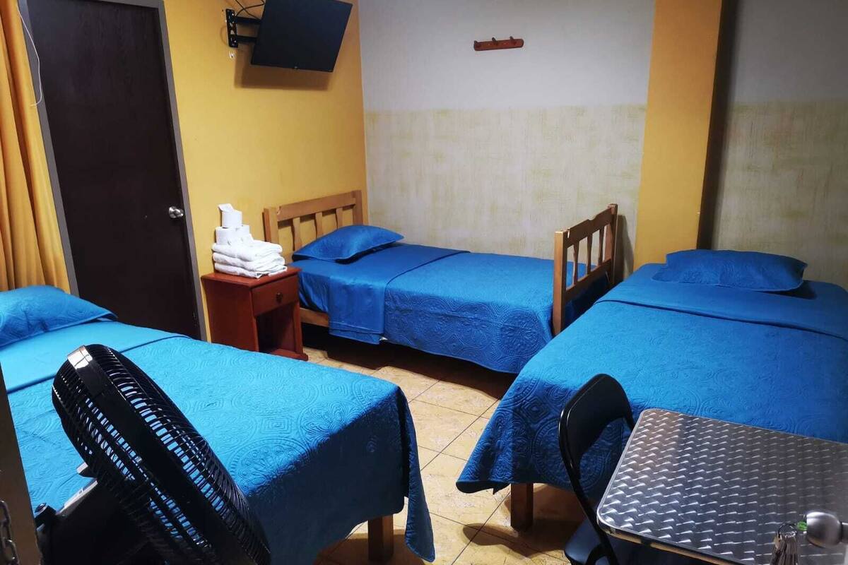 Une chambre avec deux lits, une petite table, une chaise, un ventilateur et un téléviseur fixé au mur.