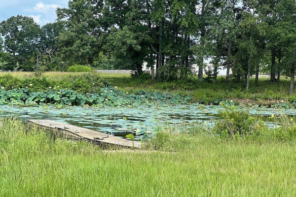 Terrein van de accommodatie