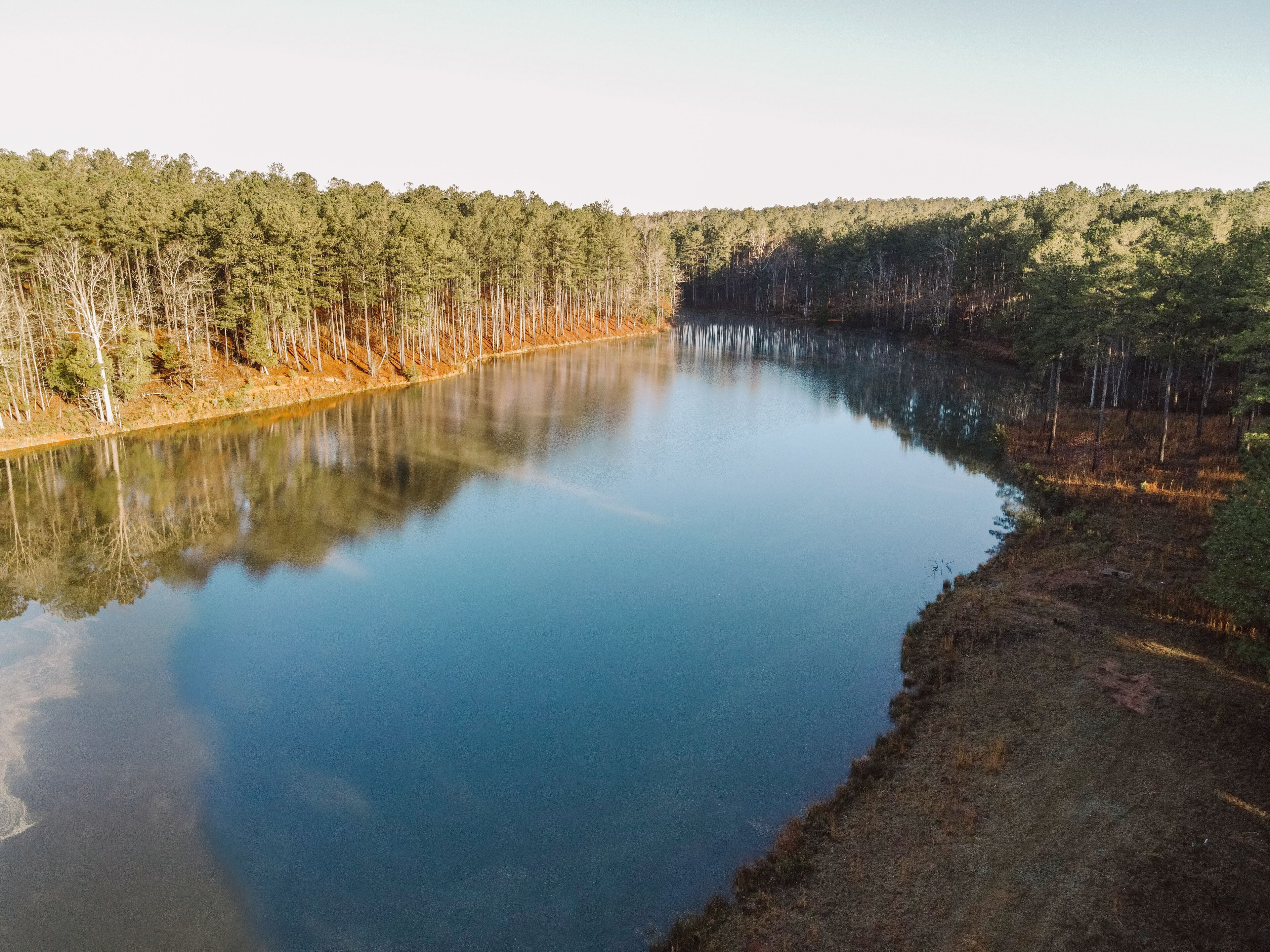Un lago tranquilo rodeado de un bosque denso.