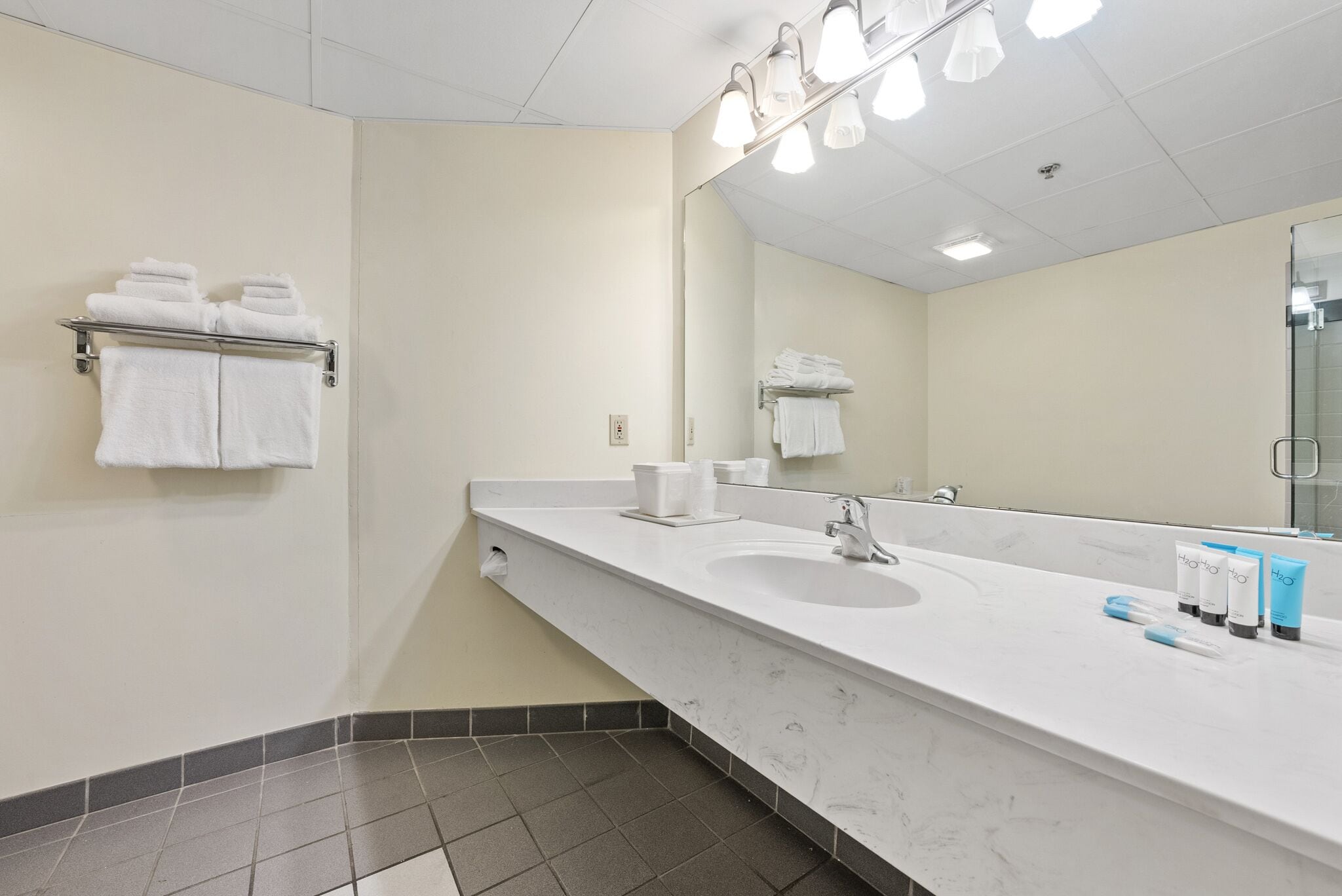 A modern bathroom with a large sink, mirror, and towel rack.