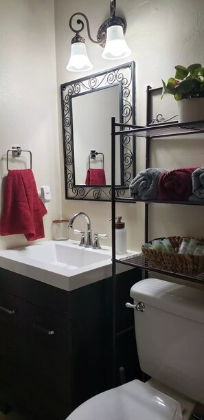 Hair dryer, towels, soap, shampoo - Emerald Family house. 2 minutes Downtown Mt Dora (Mount Dora)
