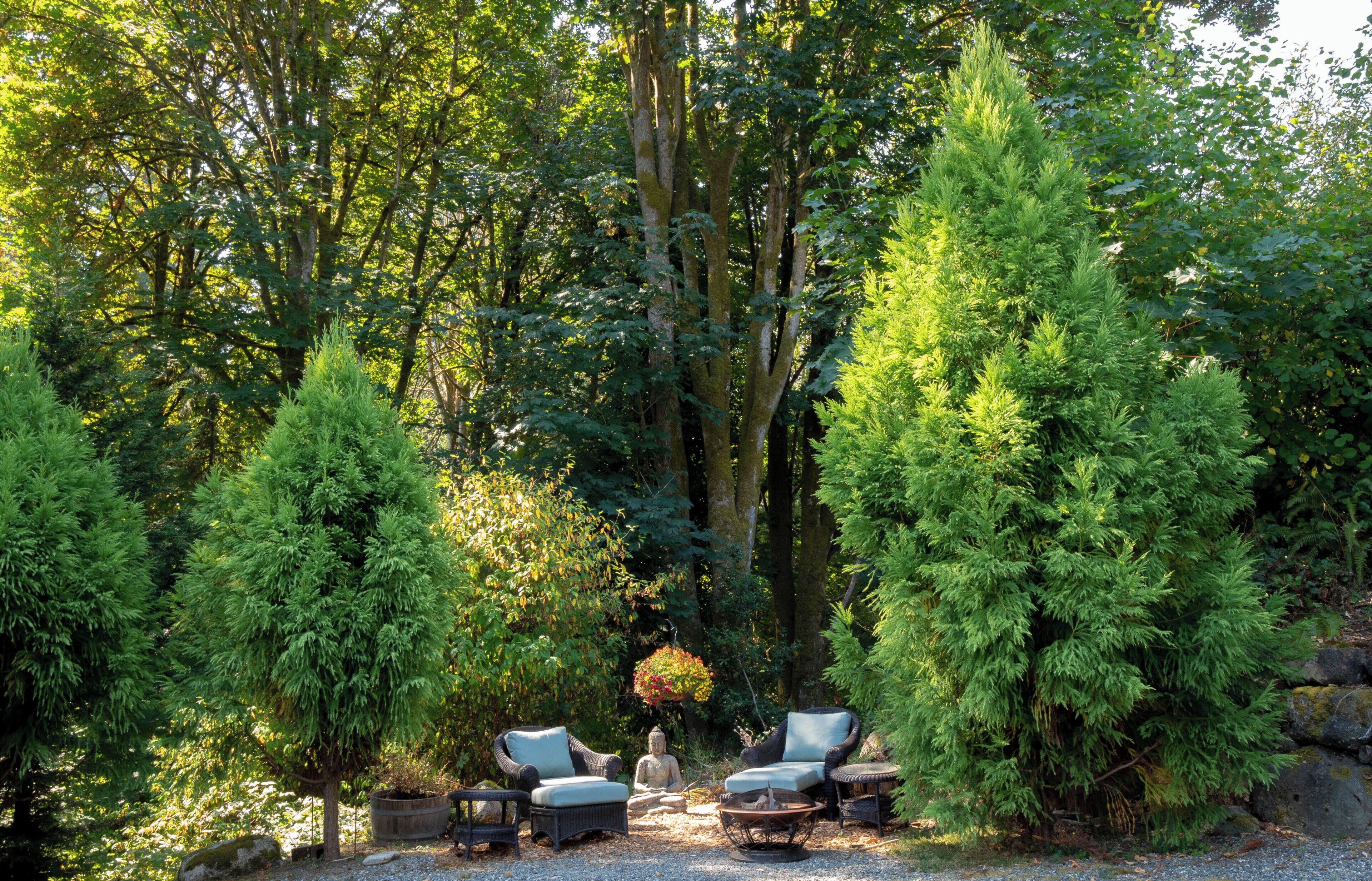 Un jardí tranquil amb zona d'estar, incloent caires i una taula petita, envoltat de vegetació i arbres frondosos.