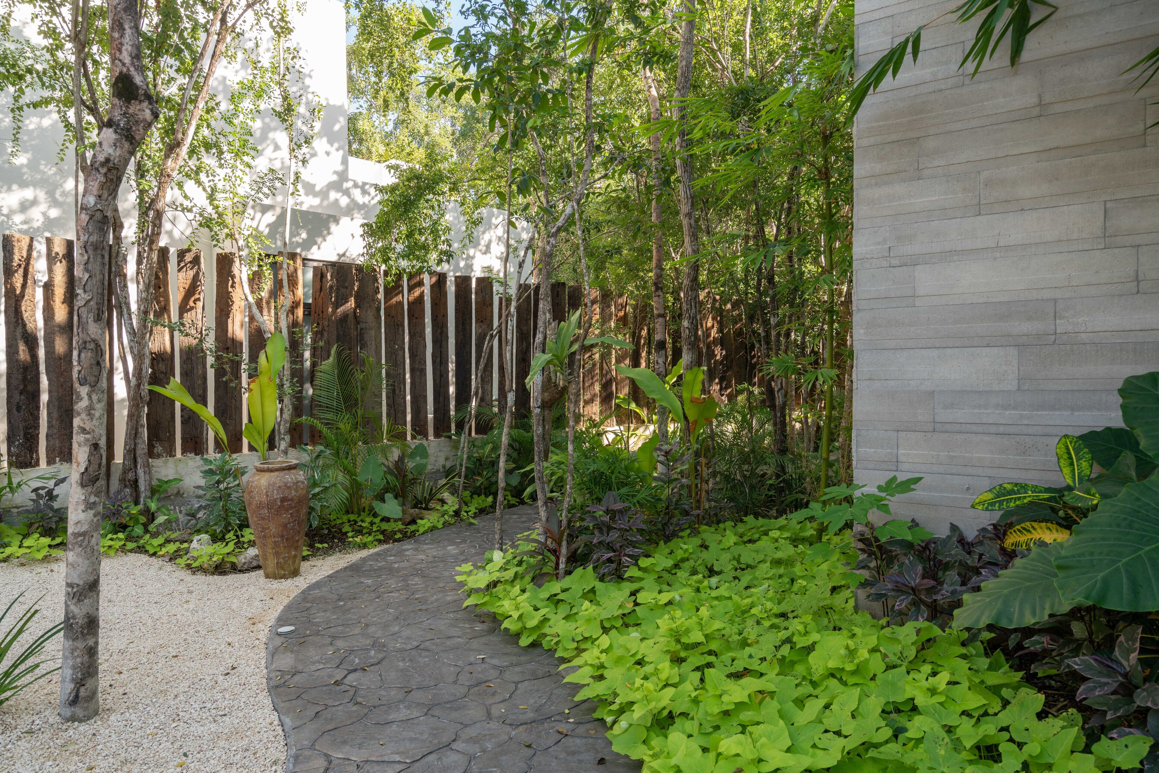 A garden with a stone pathway, various plants, and a wooden fence.