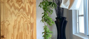 Hideaway in Ashton, homey atmosphere for tranquility - home away from home.