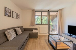 TV - Chamonix Sud - Jonquilles 209, Chamonix, France (Chamonix)