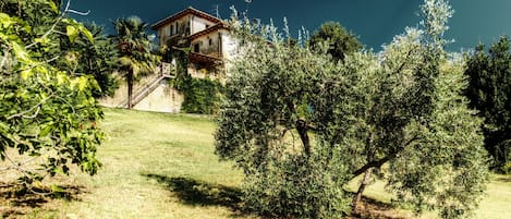 Parco della struttura