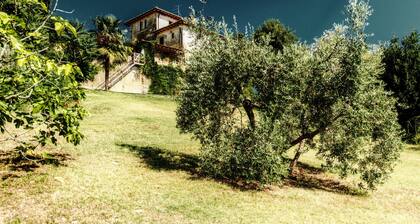 Villa Paola Private Pool Gym in Chianti, Montespertoli, Italy