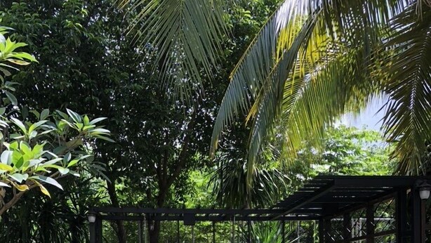 Un sendero de jardín que conduce a una puerta de madera con el texto 