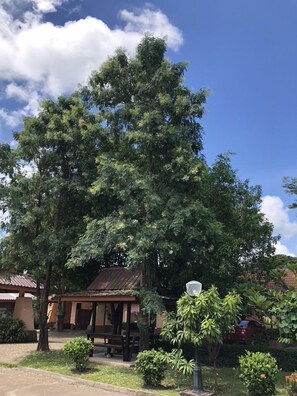 Vista desde la propiedad