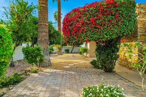 Property grounds - Casa de Mesquite - Large Pool, Walled In Yard (Palm Springs)