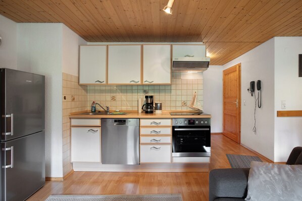 Fridge, oven, stovetop, dishwasher