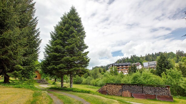 Een landelijk landschap met een grindpad, grote altijdgroene bomen, een klein houten gebouwtje en een gebouw met meerdere ramen op de achtergrond.