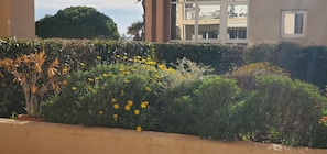 المنطقة المحيطة بالمنشأة
