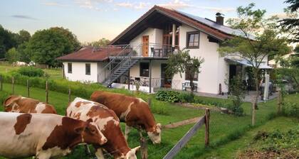 Ferienwohnung 'Exklusiv Hinterreiter' mit Bergblick, WLAN und Klimaanlage