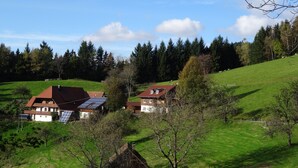 Un paisaje rural con dos casas tradicionales, una con paneles solares, rodeado de campos verdes y árboles.