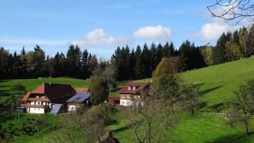 Área da propriedade