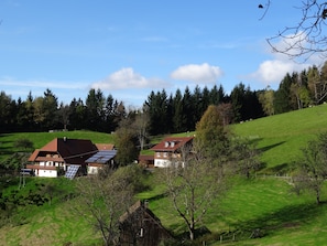 Ländliche Landschaft mit zwei traditionellen Häusern, eines davon mit Solaranlage, umgeben von grünen Feldern und Bäumen.