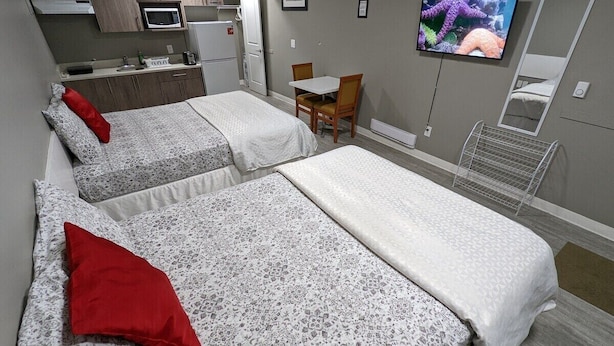Une chambre d’hôtel avec deux lits, une petite kitchenette, une télévision et un miroir.