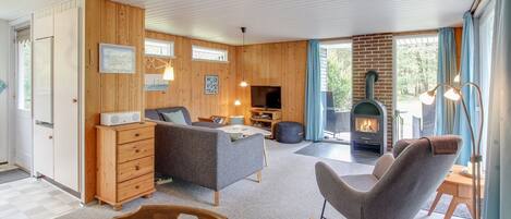 Télévision, cheminée, lecteur de DVD