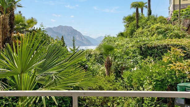 A lush garden with palm trees and dense foliage, a balcony with a railing, and a mountain in the background. - Studio W/panoramic View, Shared Pool, Garden & Terrace (Agno)