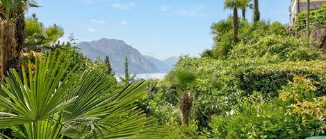 Family Apartment, 1 Bedroom, Microwave, Mountainside (Apartment View And Pool) | Property grounds