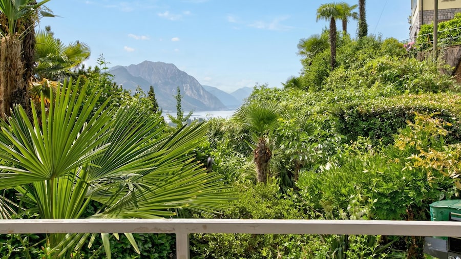 Apartment View And Pool
