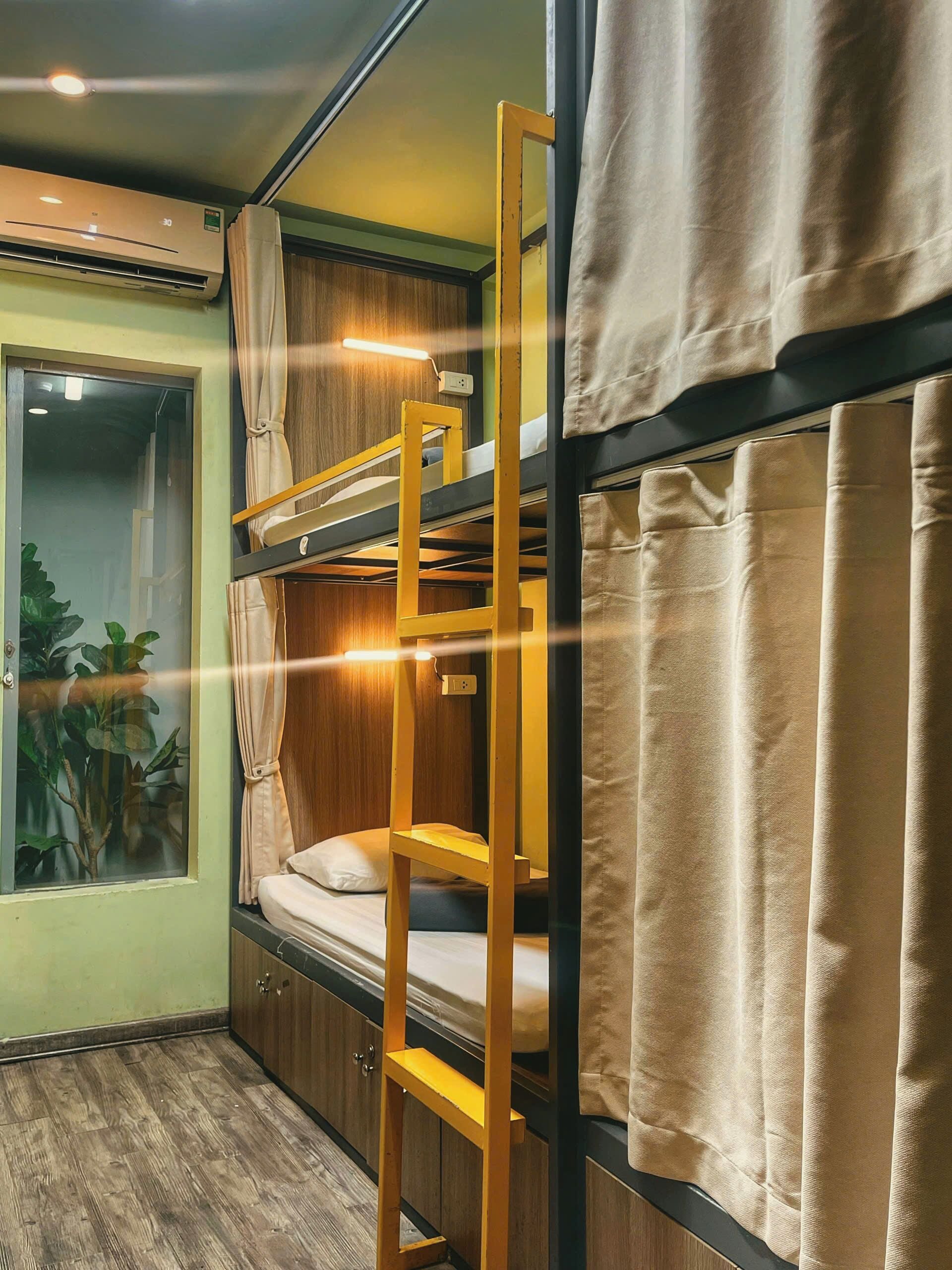 A bunk bed room with a wooden ladder, a window with curtains, and a plant visible through the window.